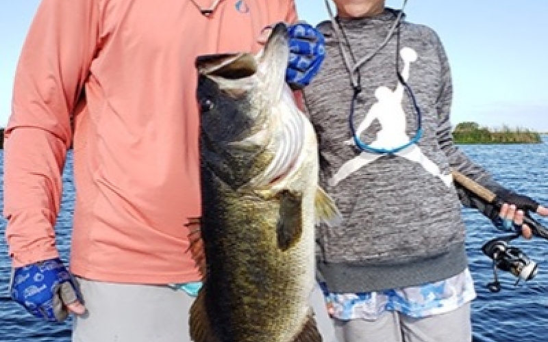 Techniques for Targeting Largemouth Bass in the Hidden Coves of Stick Marsh