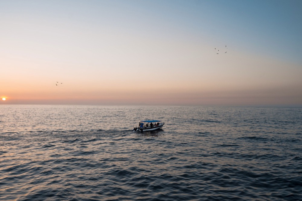 Using Topwater Lures Effectively on Fellsmere's Calm Mornings