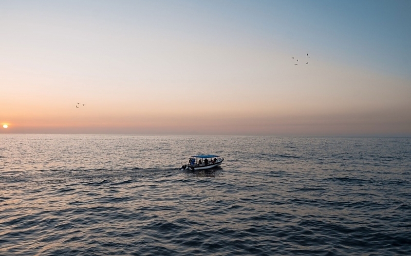 Using Topwater Lures Effectively on Fellsmere's Calm Mornings